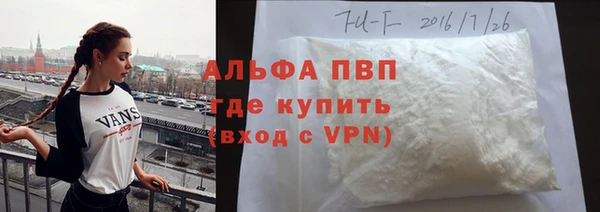 гашик Михайлов