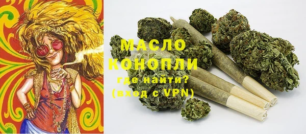 гашик Михайлов