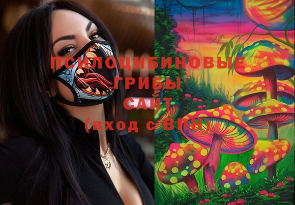 соль ск Наволоки