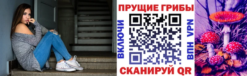купить  цена  Нестеров  ссылка на мегу зеркало  Галлюциногенные грибы GOLDEN TEACHER 