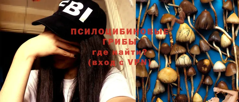 Псилоцибиновые грибы MAGIC MUSHROOMS  Нестеров 